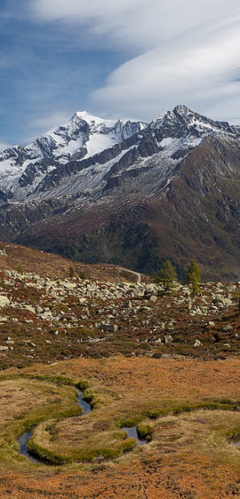 TP4_Gallery_Alps